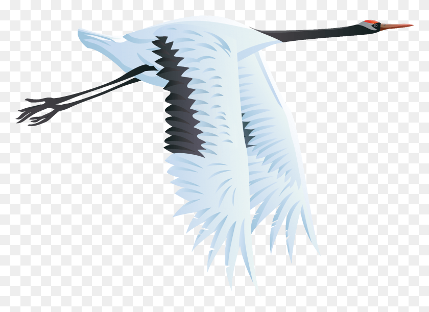 1780x1259 Crane Bird Transparent Background, Flying, Animal, Vulture HD PNG Download