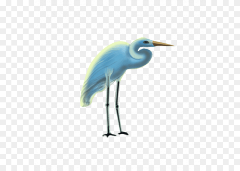 Crane Bird Transparent Egret, Animal, Crane Bird, Waterfowl, Heron Sticker PNG