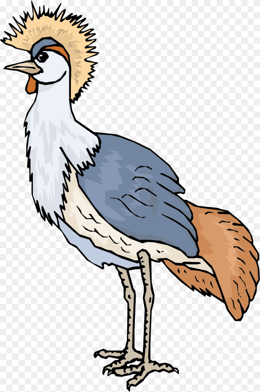 Crane Vector Animal Animasi Bergerak Burung Unta, Person, Bird, Crane Bird, Waterfowl Transparent PNG