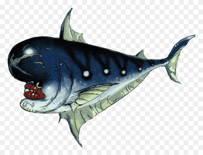 1376x1026 Craniocconceptart Skyward Sword Shark, Tuna, Sea Life, Fish HD PNG Download