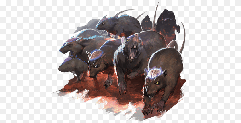513x430 Cranium Rat Angry Rats Dnd, Animal, Boar, Hog, Mammal Clipart PNG