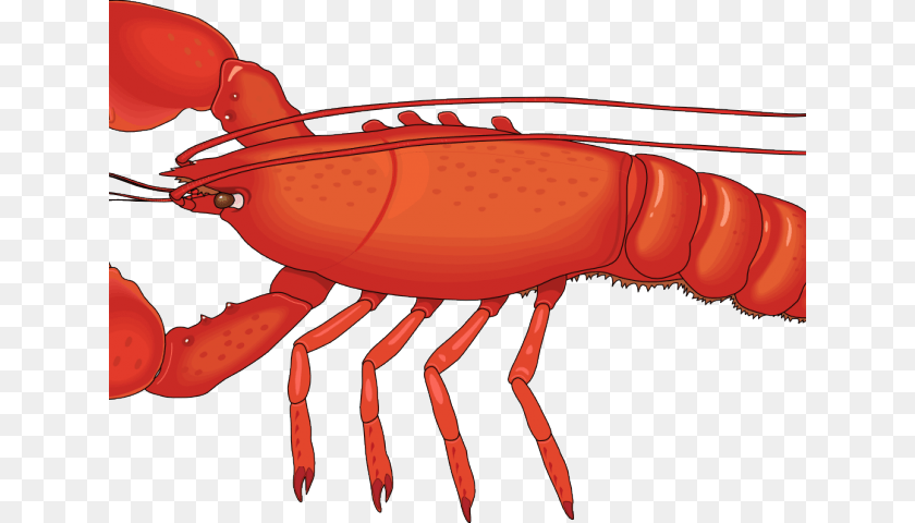 640x480 Crawfish Clipart Crab Lobster, Animal, Food, Invertebrate, Sea Life PNG