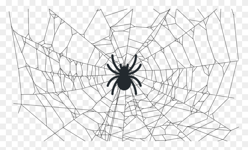 1024x591 Crawleando A Web Com O Scrapy Realistic Spider Web Drawing, Tarantula, Insect, Spider HD PNG Download