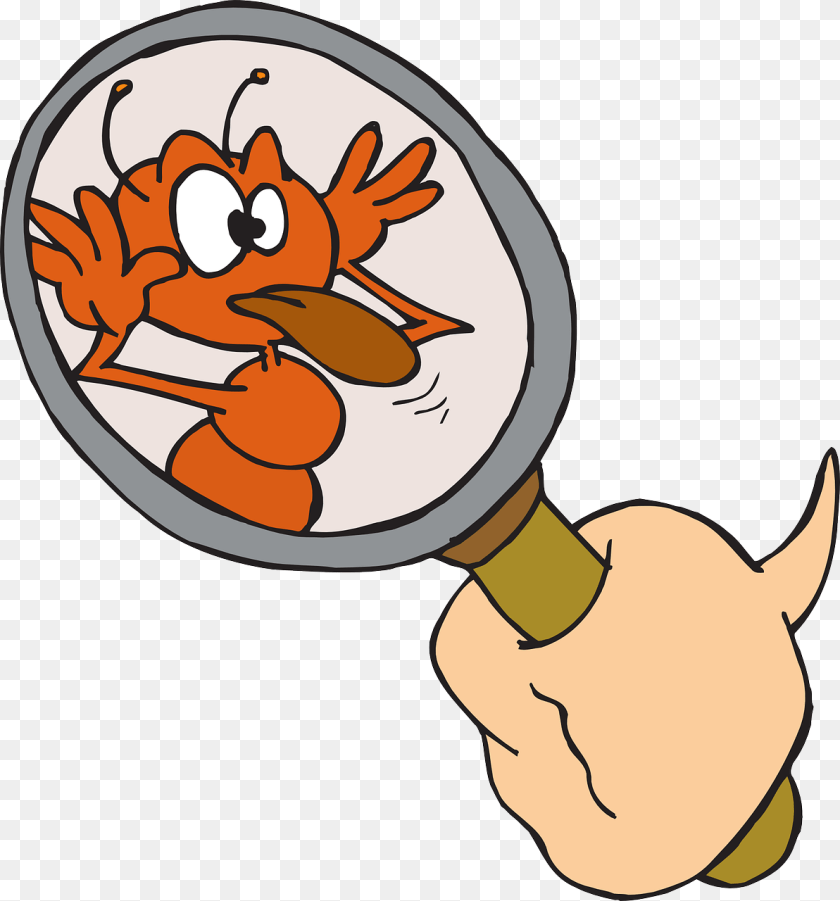 Crazy Ant Explore Pictures, Magnifying, Smoke Pipe Clipart PNG