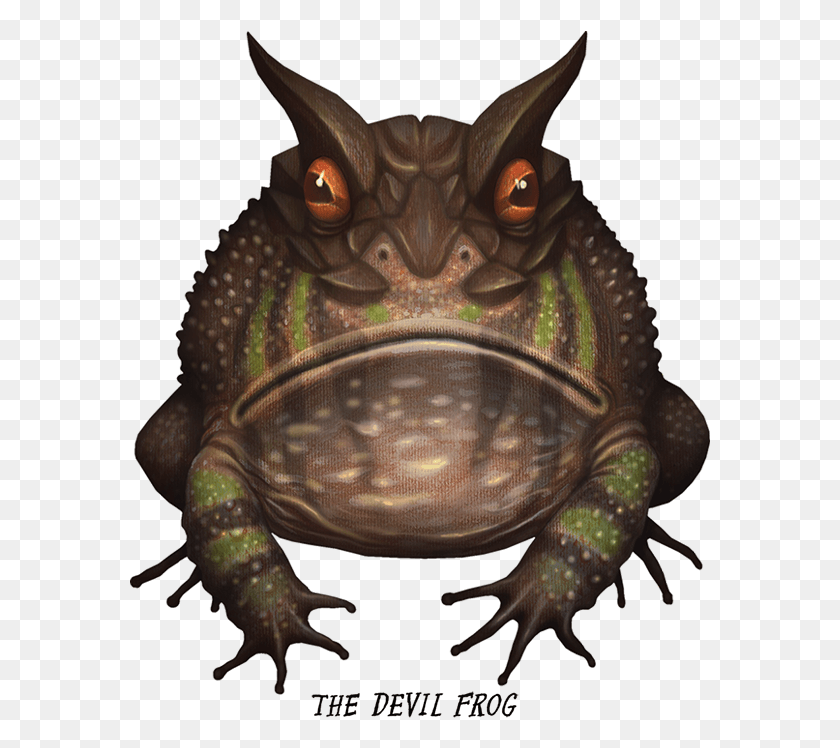 581x688 Crazy Monster Frogs On Behance By Vladimir Stankovic Frog Monster, Animal, Reptile, Amphibian HD PNG Download