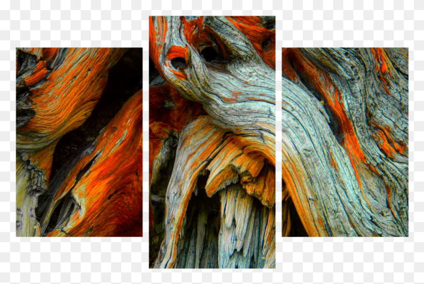 915x591 Crazy Treeline Stump Photograph Mt, Wood, Modern Art HD PNG Download