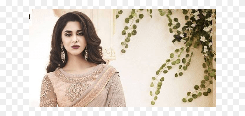 641x338 Cream Saree Front Light Peach Color Saree, Clothing, Apparel, Person HD PNG Download