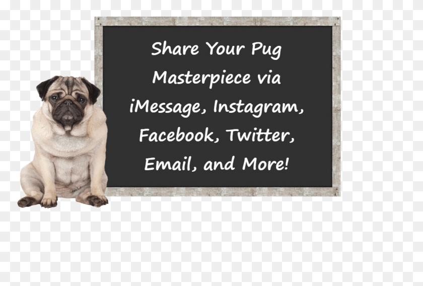1060x691 Create Art And Add Stickers And Filters To Your Pug39s Pug, Canine, Mammal, Animal HD PNG Download