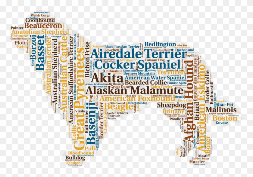 822x558 Create Your Own Word Art Piece Animals Made From Words, Poster, Advertisement, Flyer HD PNG Download