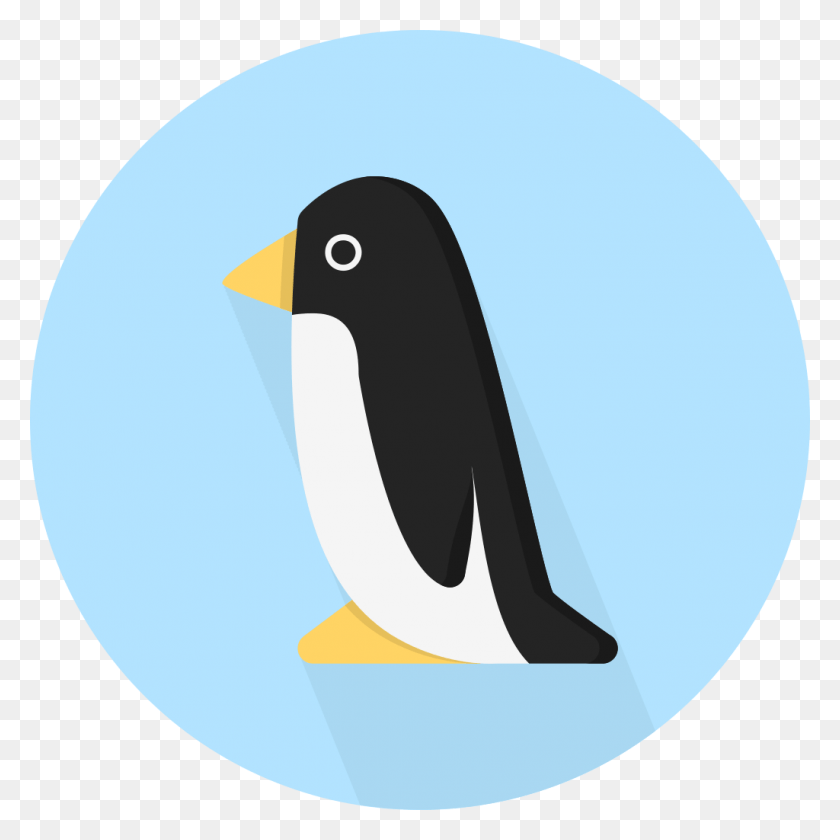 1024x1024 Creative Tail Animal Penguin Minimalist Wallpaper Penguin, Bird, King Penguin HD PNG Download