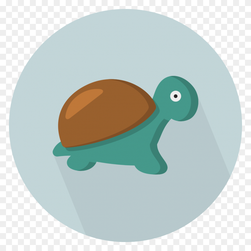 1024x1024 Creative Tail Animal Turtle Creative Turtle, Clothing, Apparel, Helmet HD PNG Download