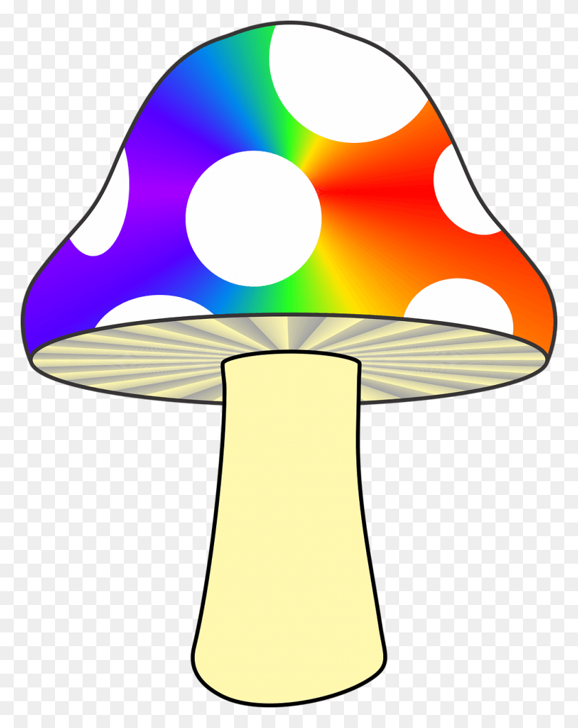 999x1280 Creative Trippy Drawings Mushrooms, Lamp, Lampshade, Text Descargar Hd Png