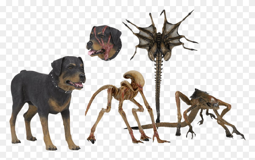 1235x740 Creature 7 Scale Accessory Pack Neca Alien 3 Creature Accessory Pack, Dog, Pet, Canine HD PNG Download