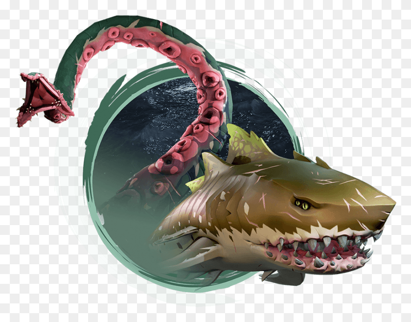 852x654 Creature Features Sea Of Thieves Megalodon, Fish, Animal, Sea Life HD PNG Download