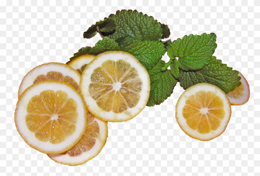 883x579 Credit Pixabay Lemon, Citrus Fruit, Fruit, Plant HD PNG Download