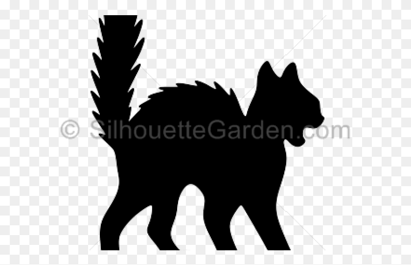 595x481 Жуткий Клипарт Черная Кошка Картинки, Млекопитающее, Животное Hd Png Скачать