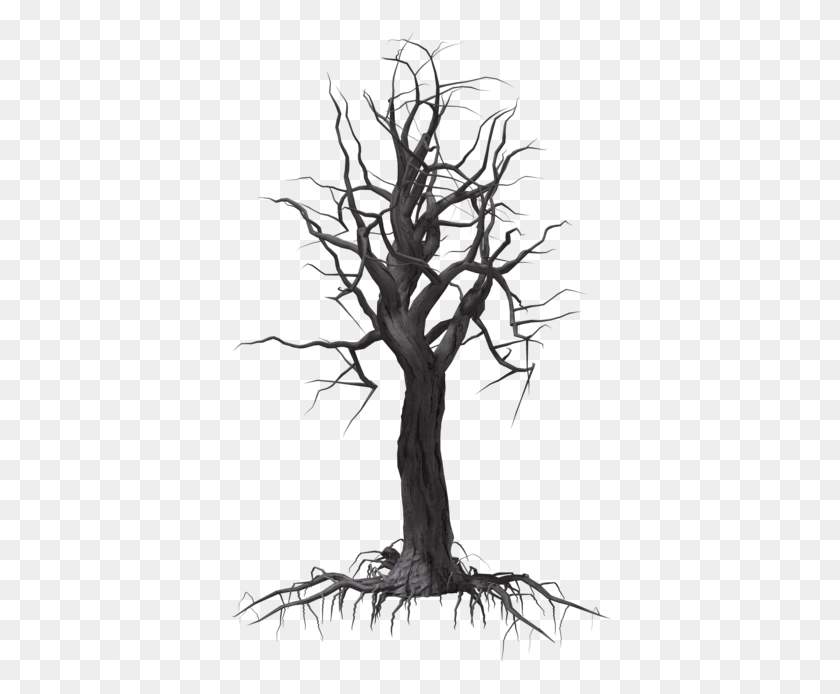634x634 Creepy Tree 04 By Wolverine041269 On Clipart Library Sketch, Plant, Root HD PNG Download