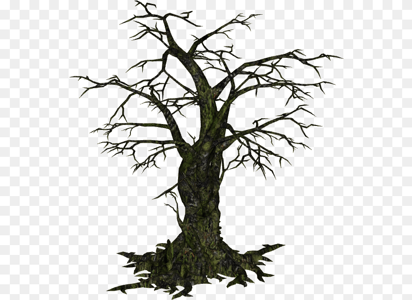Creepy Tree, Plant, Potted Plant, Art Transparent PNG