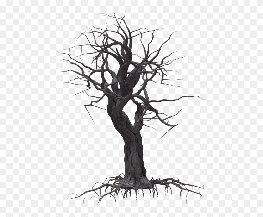 503x633 Creepy Tree Creepy Tree Transparent, Plant, Root, Tree Trunk HD PNG Download