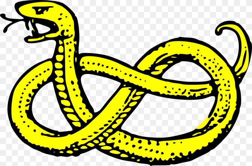 2400x1584 Crest Symbol Shield Gold Coat Arms Serpent Crest Serpent Coat Of Arms, Animal, Reptile, Snake Transparent PNG