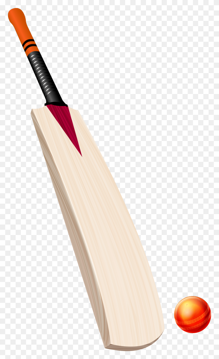 1105x1864 Cricket, Text, Pencil, Lute HD PNG Download
