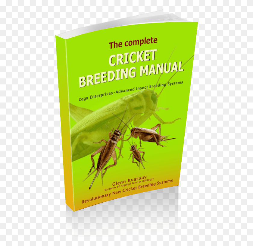 476x756 Cricket Breeding Manual Hornet, Insect, Invertebrate, Animal HD PNG Download