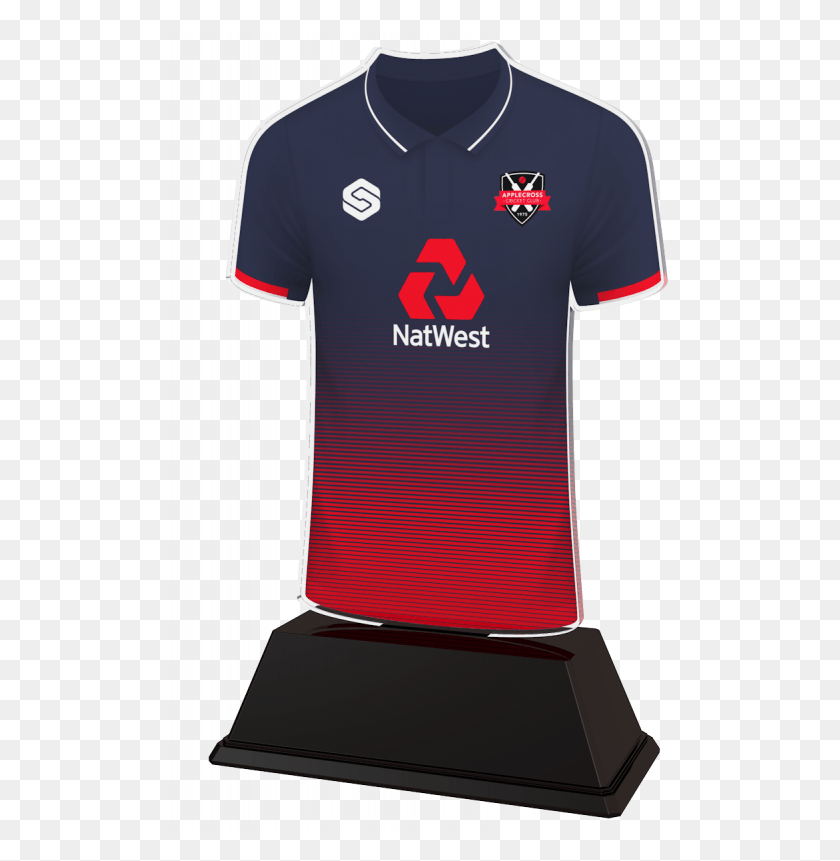 498x801 Cricket Custom Colour Shirt Acrylic Trophy Active Shirt, Clothing, Apparel, Jersey HD PNG Download