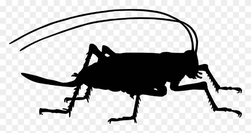 1208x600 Cricket Farm Silhouette Of A Bugs Transparent, Text, Symbol, Outdoors HD PNG Download