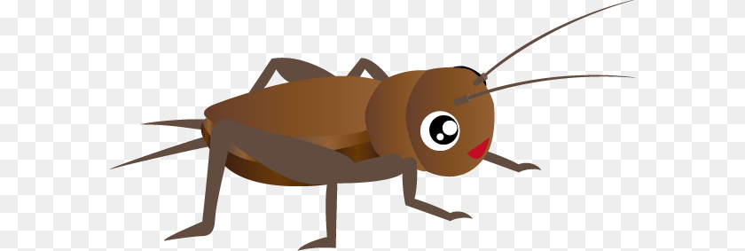 592x283 Cricket Insect, Animal, Cricket Insect, Invertebrate PNG