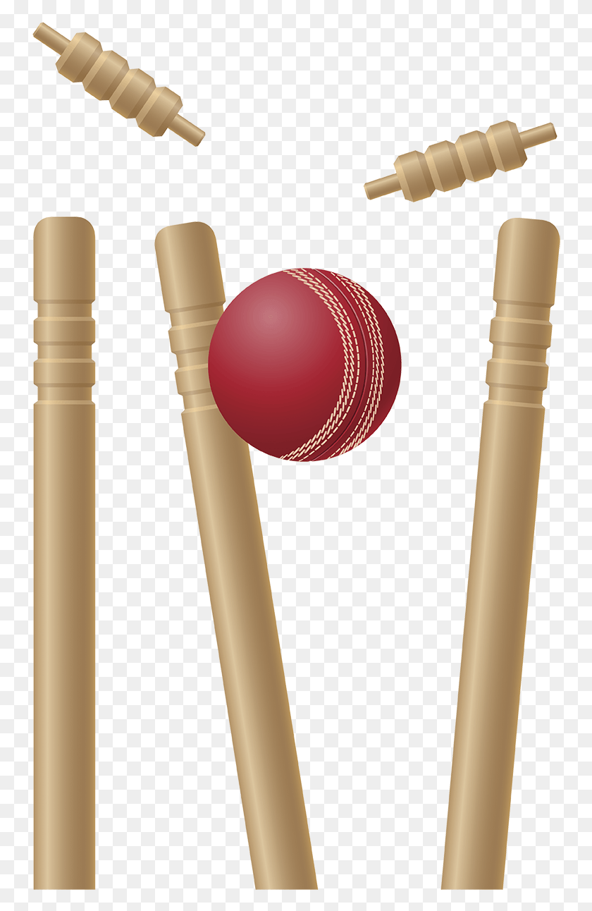 750x1232 Cricket Stumps Pic Cricket Bat Ball And Wicket, Sport, Sports, Team Sport HD PNG Download