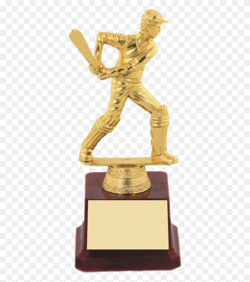380x885 Cricket Trophy J 1108 Trophy, Bronze, Person, Human HD PNG Download