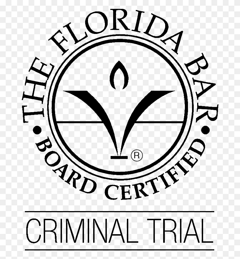 690x848 Criminal Defense Practice Florida Bar, Outdoors, Nature, Sphere HD PNG Download
