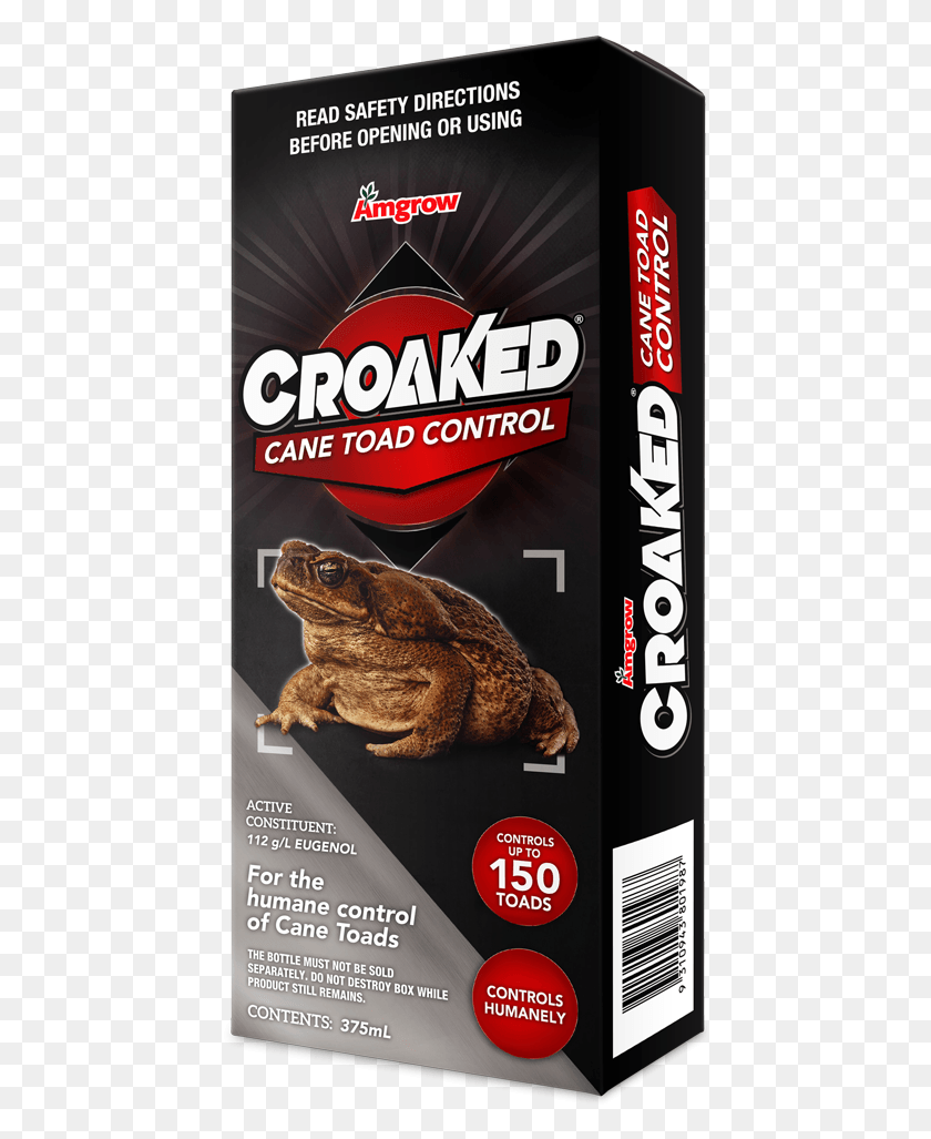 441x967 Croaked Cane Toad Control Ref American Toad, Amphibian, Wildlife, Animal HD PNG Download