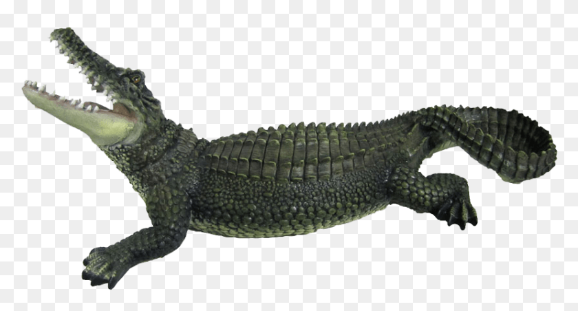 828x417 Crocodile, Lizard, Reptile, Animal HD PNG Download