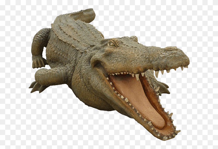 624x514 Крокодил Бесплатные Прозрачные Фоновые Изображения Бесплатно Крокодил, Рептилия, Животное, Аллигатор Png Скачать