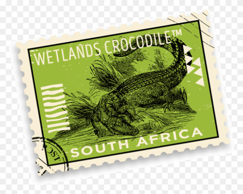 793x624 Crocodile Postage Stamp, Bird, Animal, Reptile HD PNG Download