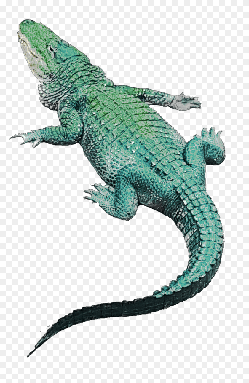 1066x1684 Crocodile Sticker Green Iguana, Lizard, Reptile, Animal HD PNG Download