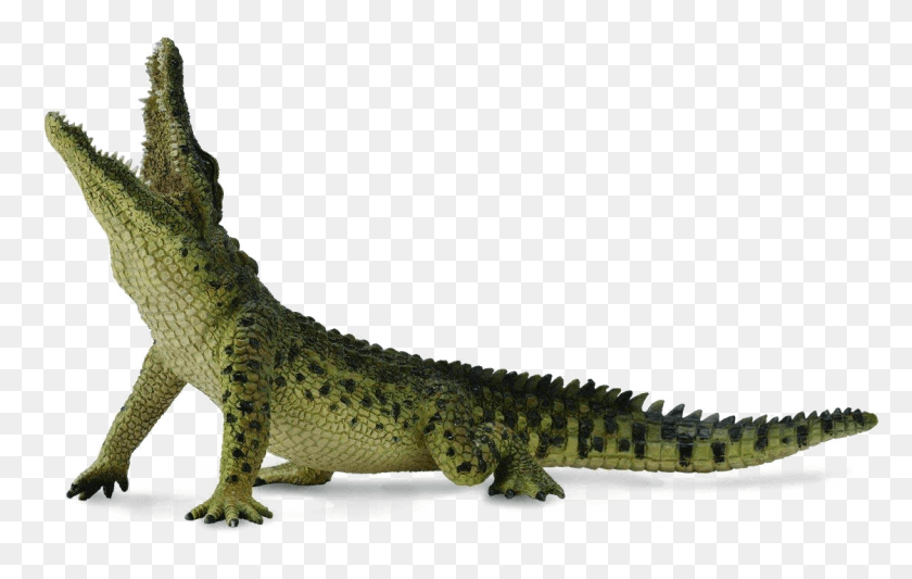 1121x681 Crocodile Transparent Image Collecta Nile Crocodile, Lizard, Reptile, Animal HD PNG Download