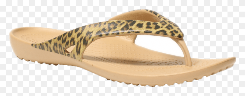 1053x367 Crocs Kadee Ii Leopard Print 202559 Gold Ballet Flat, Clothing, Apparel, Snake HD PNG Download