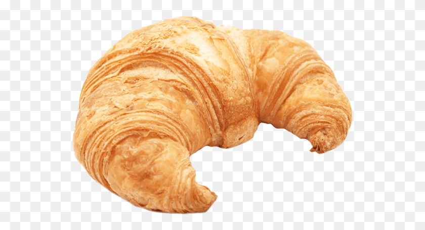 557x396 Croissant Big Croissant, Fungus, Food HD PNG Download