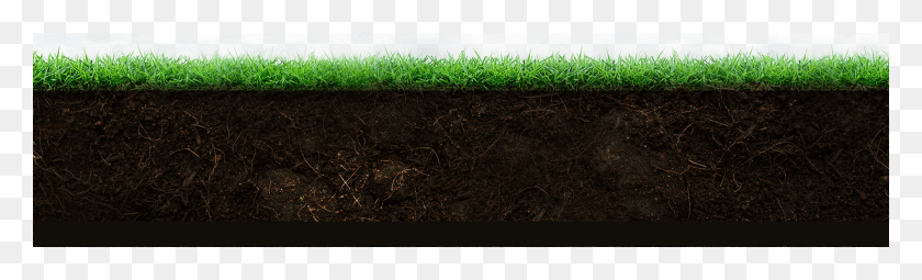 1920x480 Crop, Soil, Plant, Grass HD PNG Download