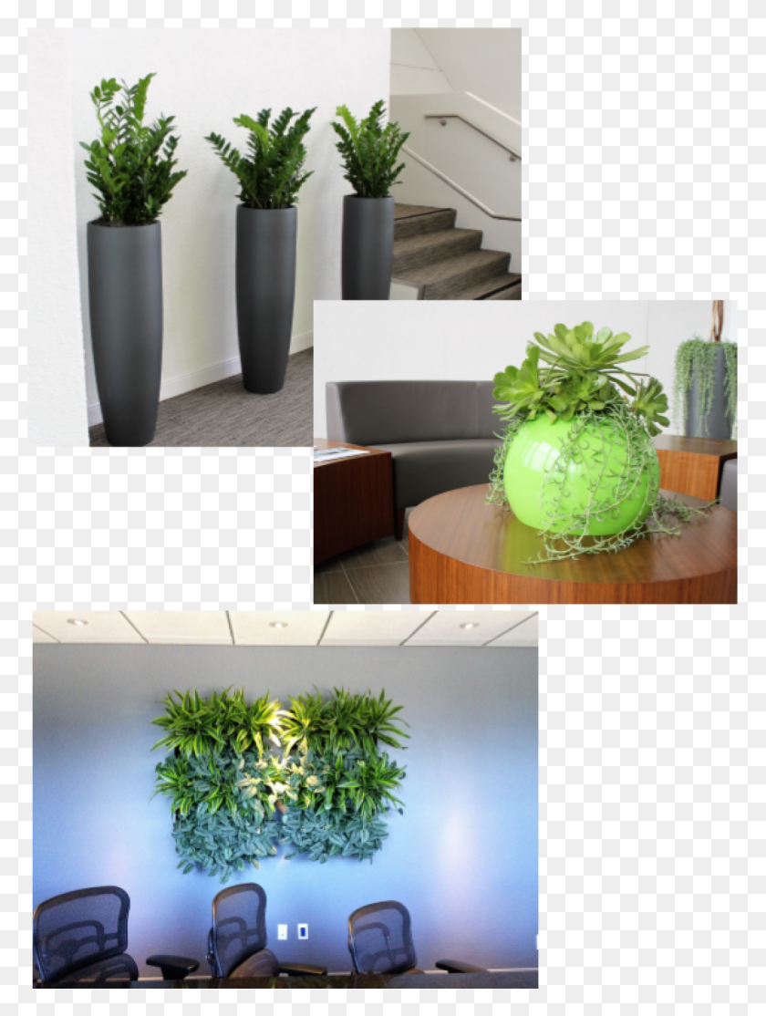 1200x1623 Cropped Contemporary Plant Collage Chair, Potted Plant, Vase, Jar Descargar Hd Png