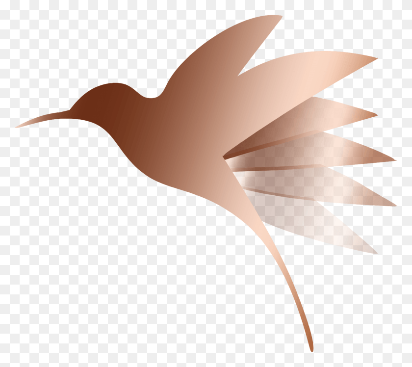 3474x3066 Cropped Hummingbird Only1 Illustration, Lamp, Graphics HD PNG Download