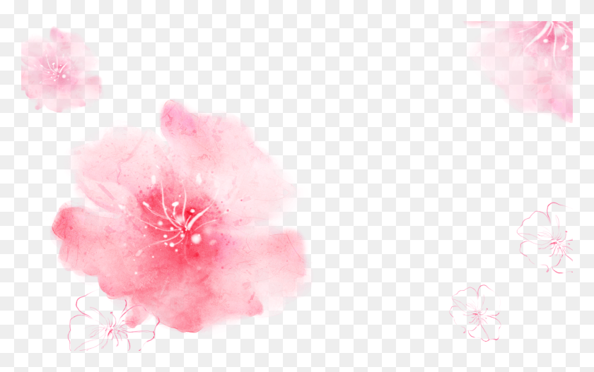 2000x1199 Descargar Png Cropped Kisspng Pink Cherry Blossom Cosmetology Wallpaper Fondo Rosado Maquillaje, Plant, Petal, Flower Hd Png