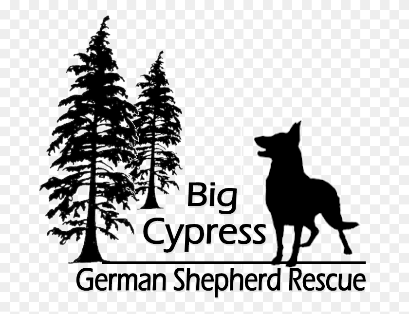 684x585 Cropped Logo 2 German Shepherd Silhouette, Tree, Plant, Text HD PNG Download