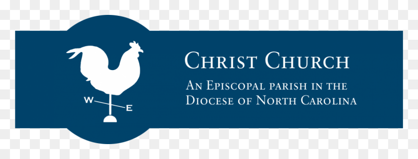1248x417 Cropped New Logo Christian Tour, Bird, Animal, Text HD PNG Download