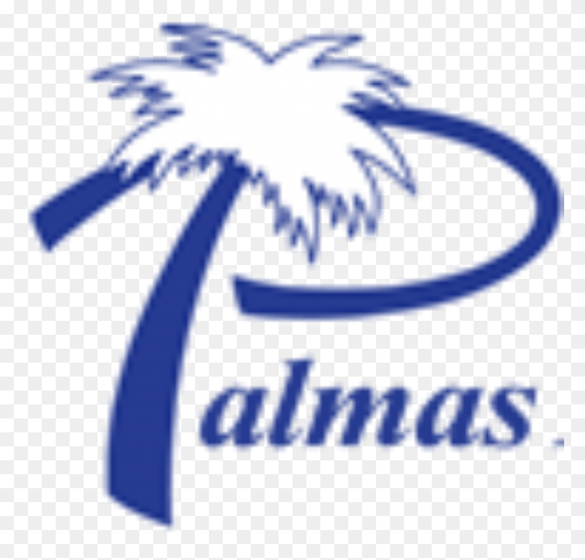 1872x1784 Обрезанный Логотип Palmas Web Market, Крест, Символ Hd Png Скачать