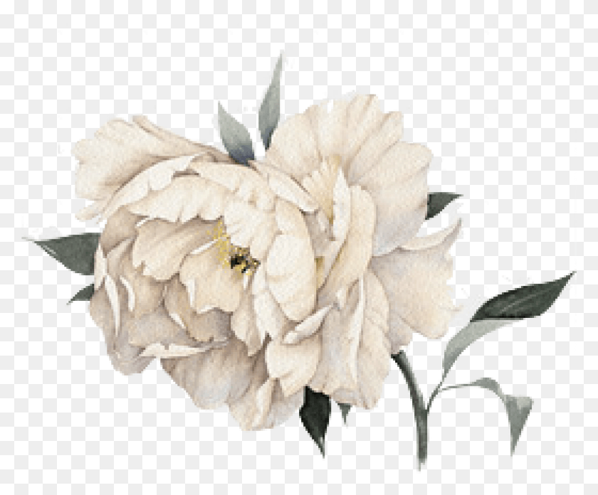 1921x1568 Обрезанный Пион 1 Флакон Духов Chanel Акварель, Растение, Цветок, Цветение Png Скачать