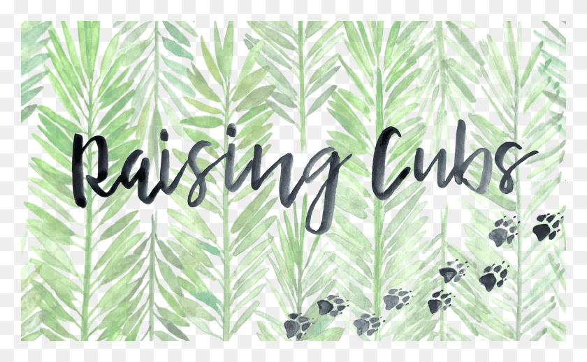 2000x1177 Cropped Raising Cubs Banner 12 Calligraphy, Leaf, Plant, Green HD PNG Download