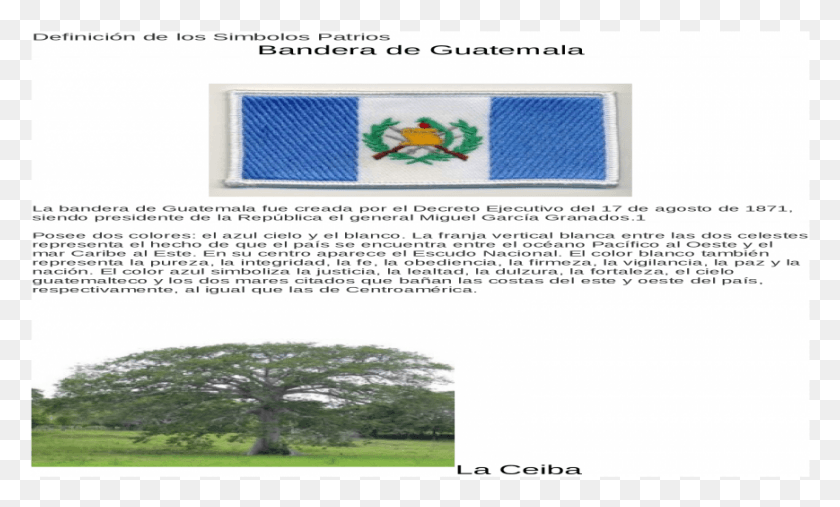 869x499 Descargar Png / Punto De Cruz, Texto, Etiqueta, Vegetación Hd Png